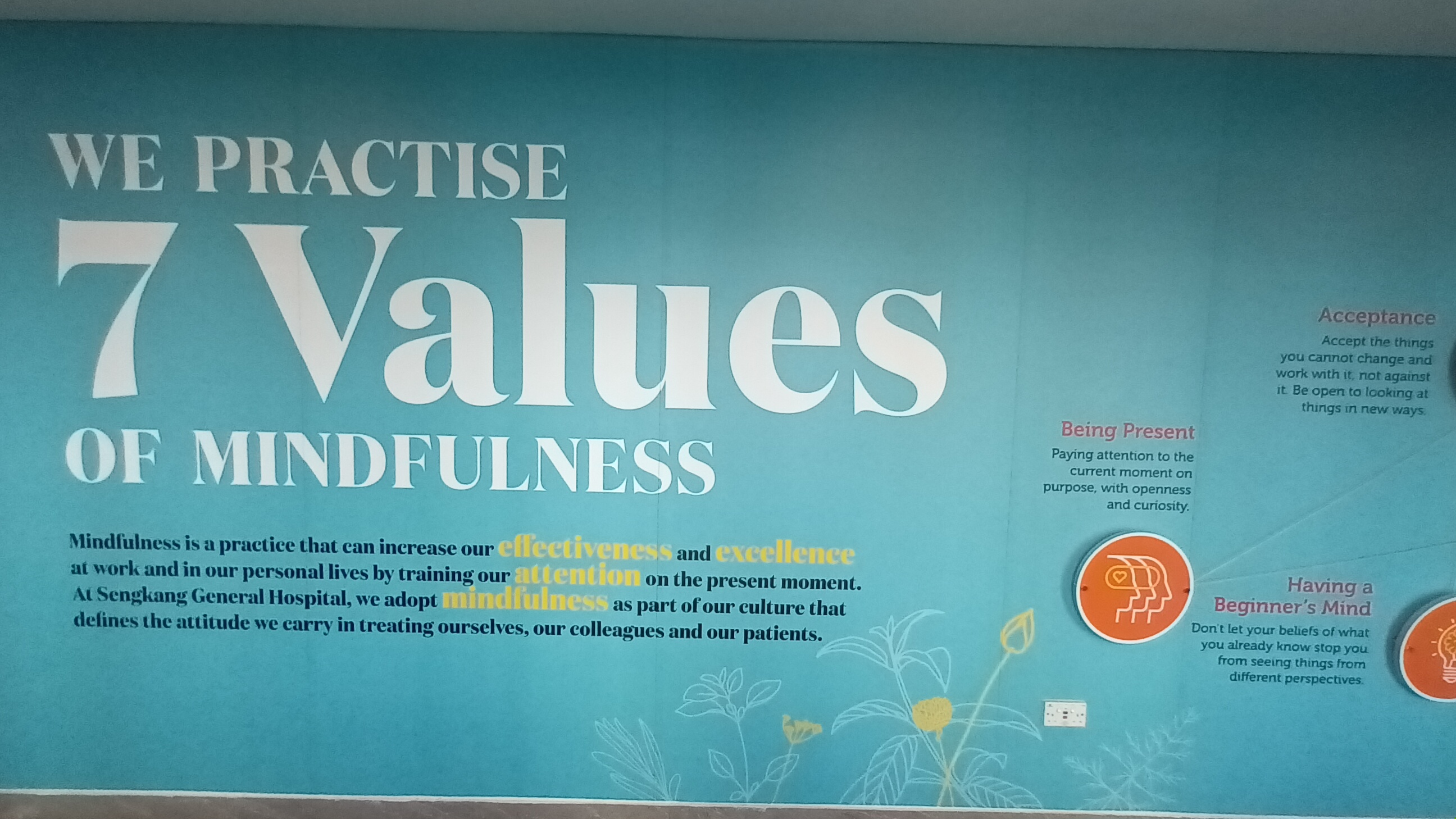 Picture showing the values of mindfulness