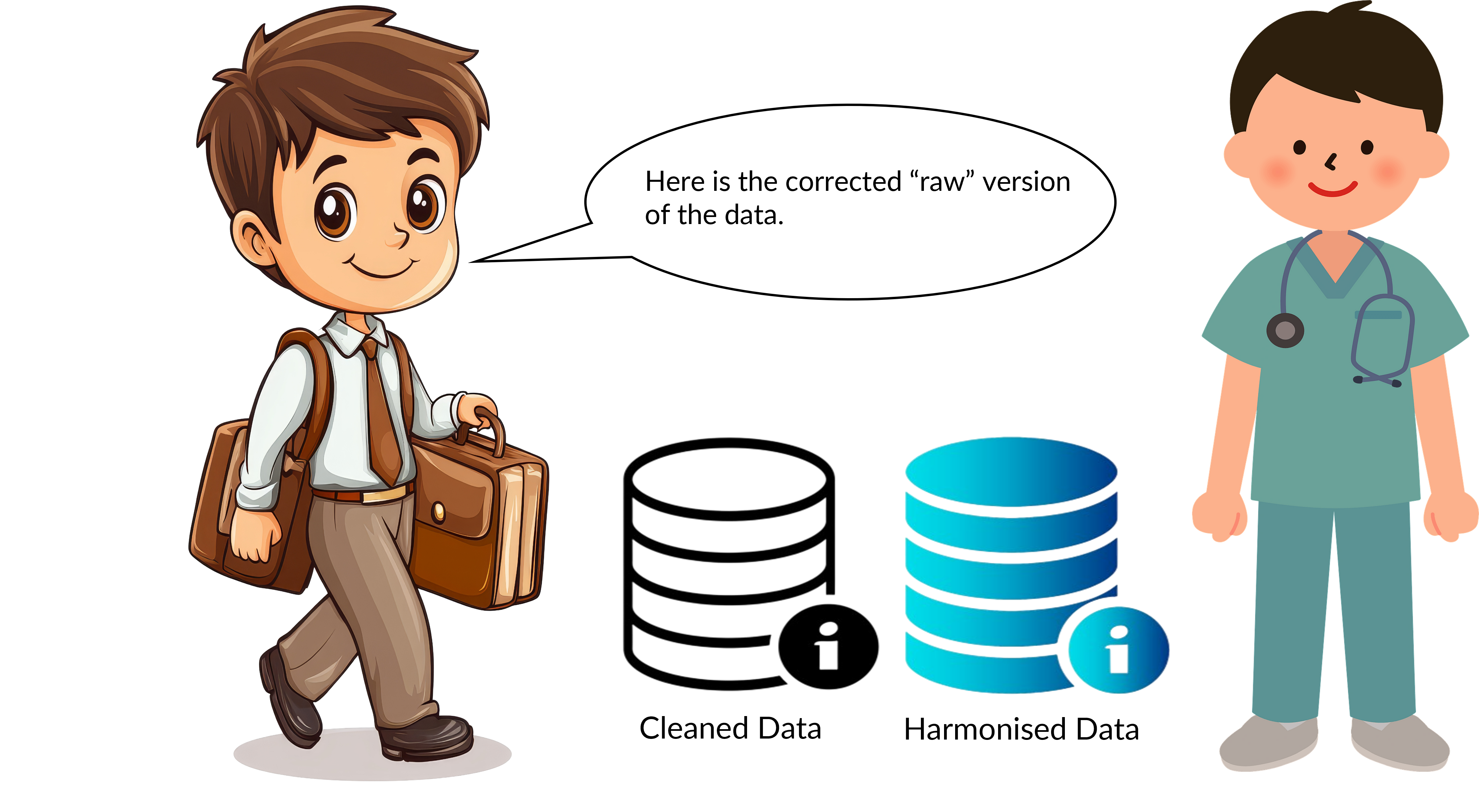 Figure showing the data analyst providing the updated raw data and harmonised data.