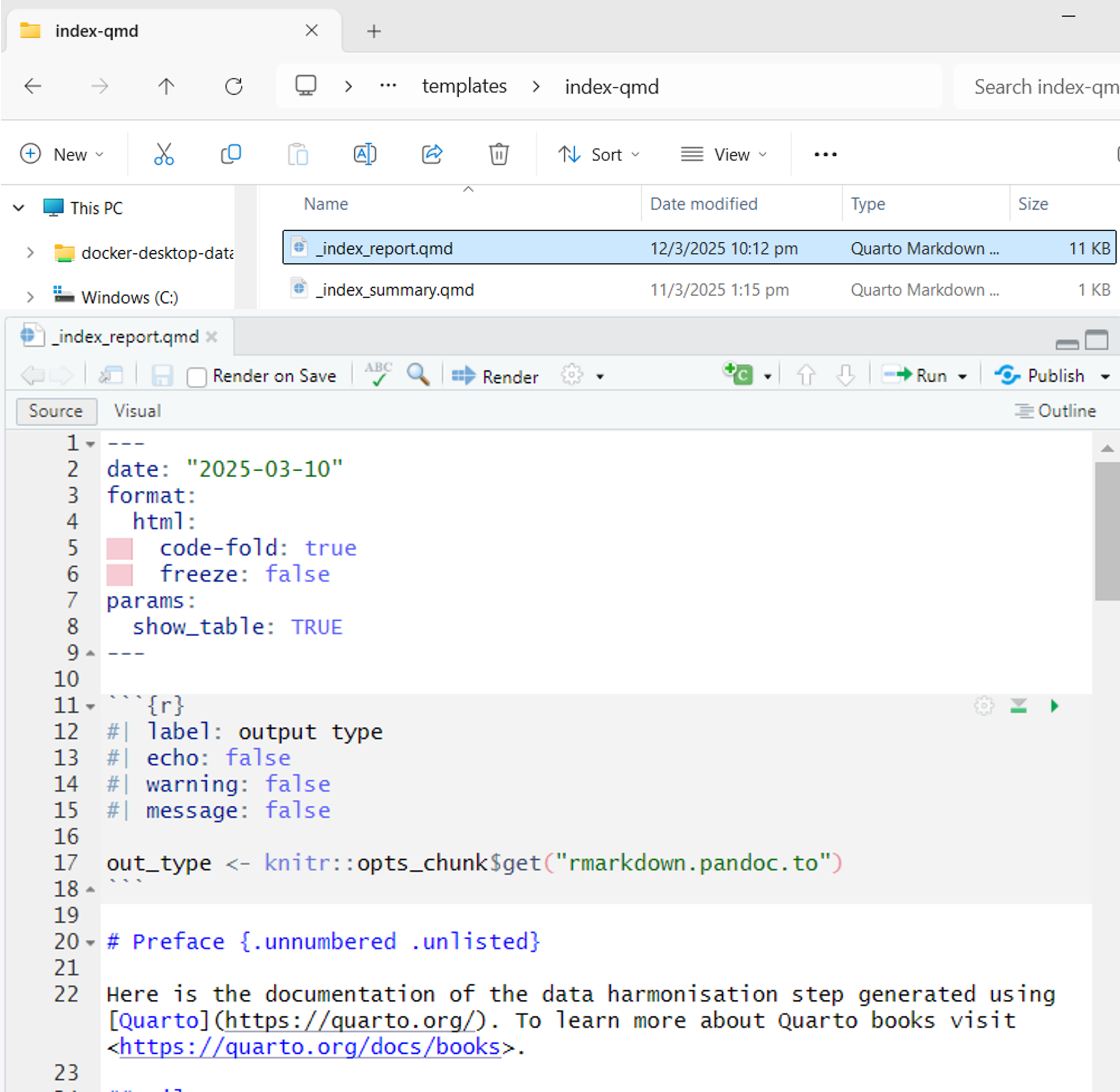 A preview of the index qmd file for technical reporting.